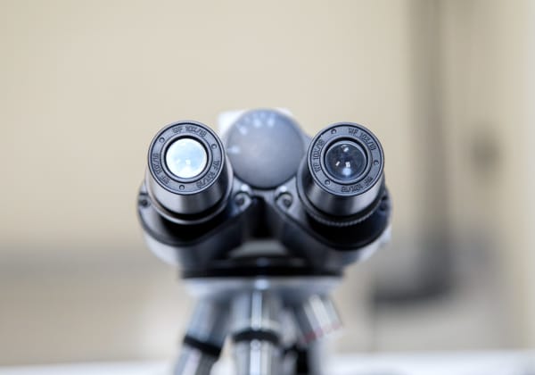 Specialists | Montecito Pet Hospital | Montecito Speciality & Emergency Vet