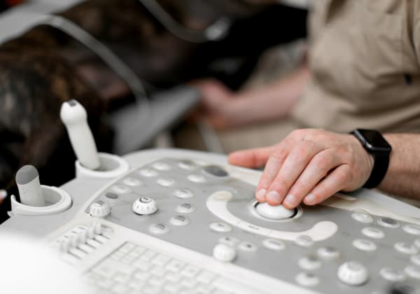 Specialists | Montecito Pet Hospital | Montecito Speciality & Emergency Vet