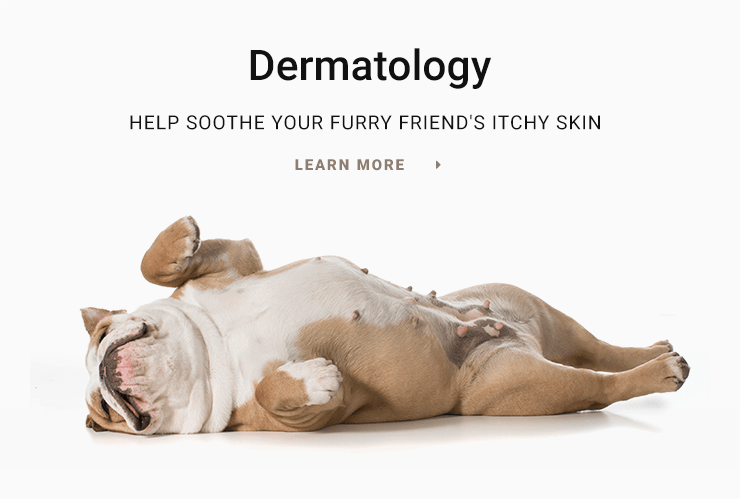 Montecito Pet Hospital - Dermatologist in Santa Barbara